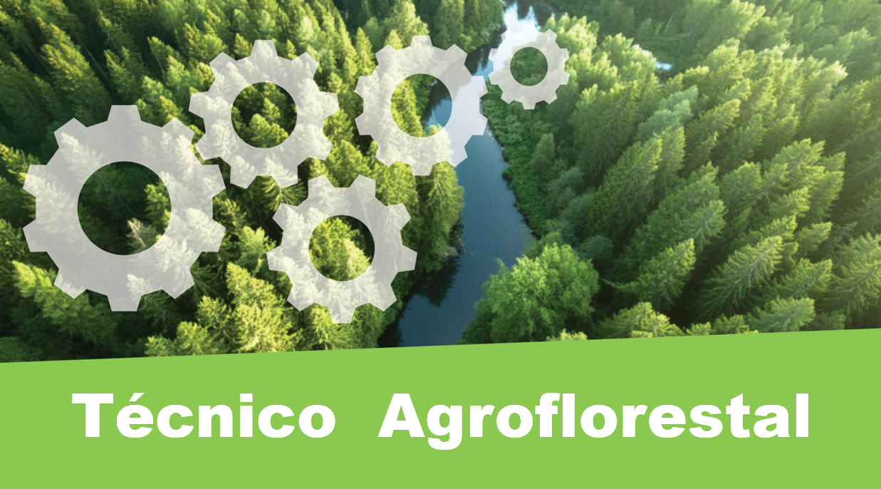 Técnico Agroflorestal