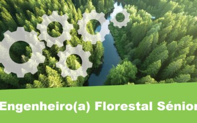 Engenheiro(a) Florestal Sénior