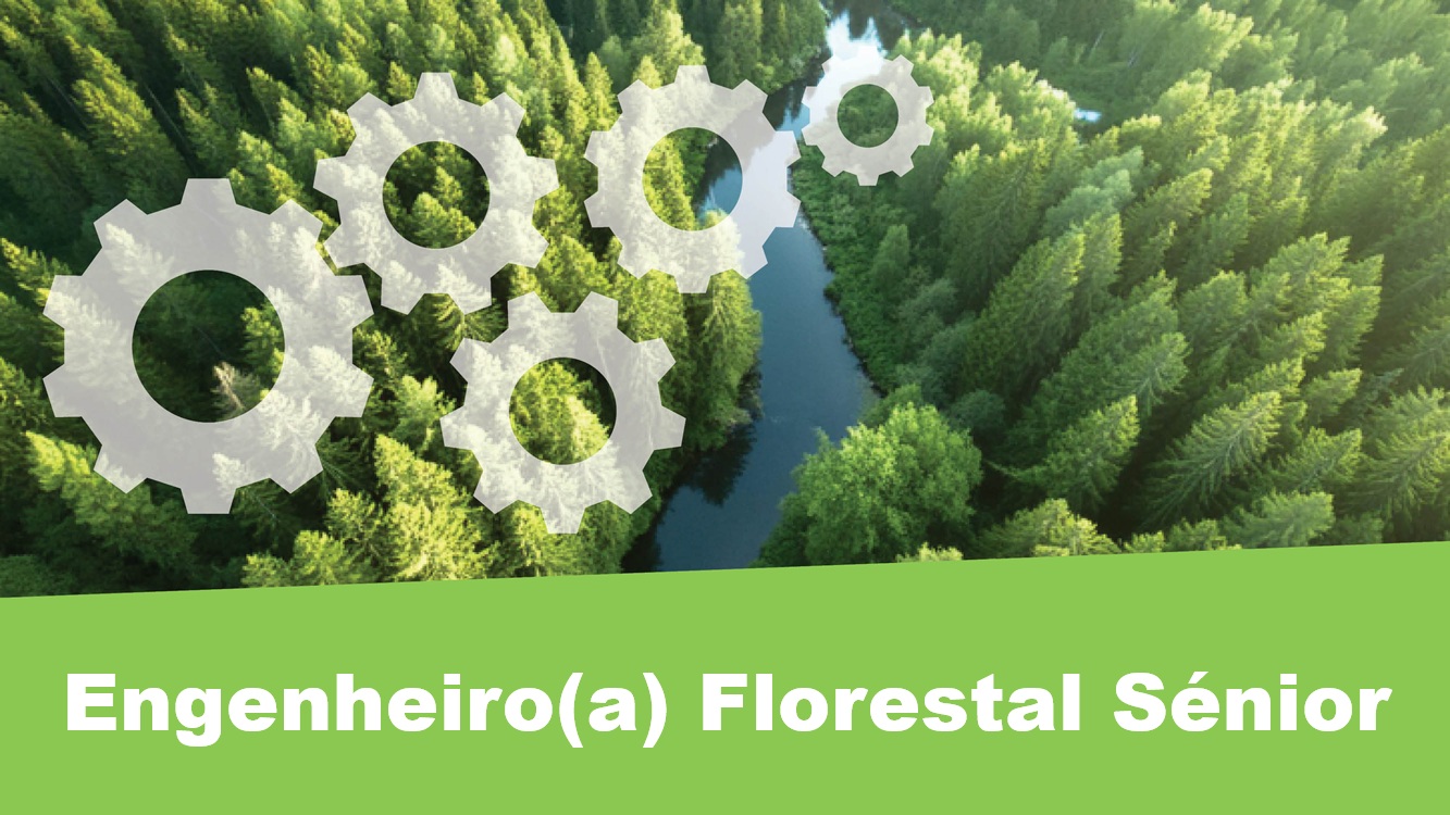 Engenheiro Florestal
