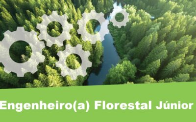 Engenheiro(a) Florestal Júnior