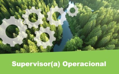 Supervisor(a) Operacional (Zona Sul – Algarve)